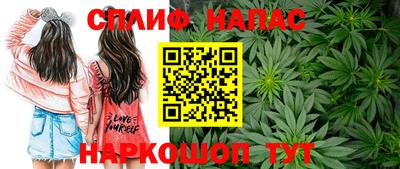 apvp Аша