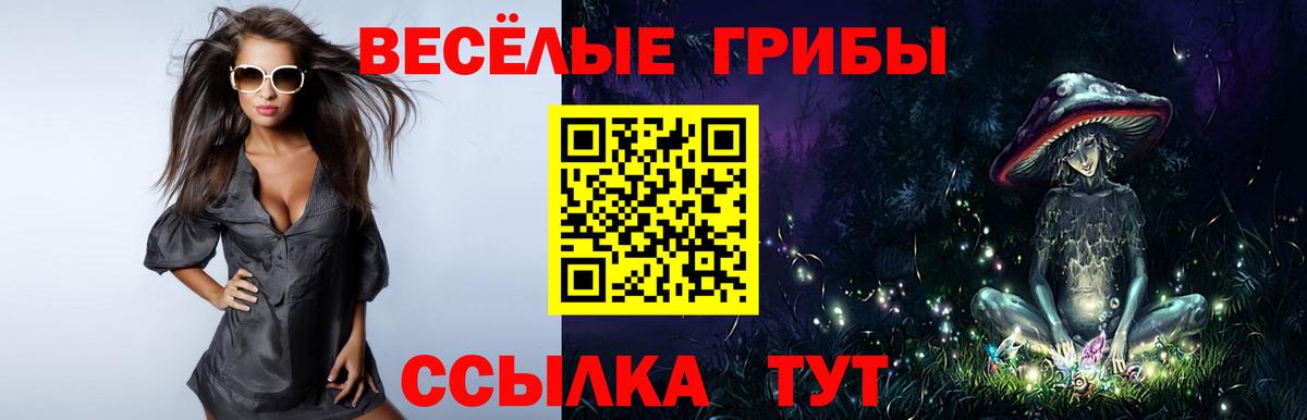 Псилоцибиновые грибы Cubensis Верхняя Салда